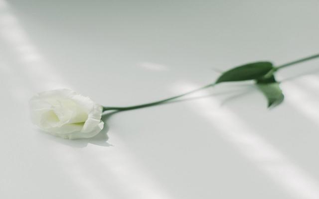 凤凰男以女友怀孕为借口压低彩礼，女方如此反击，结局让人舒服休闲区蓝鸢梦想 - Www.slyday.coM