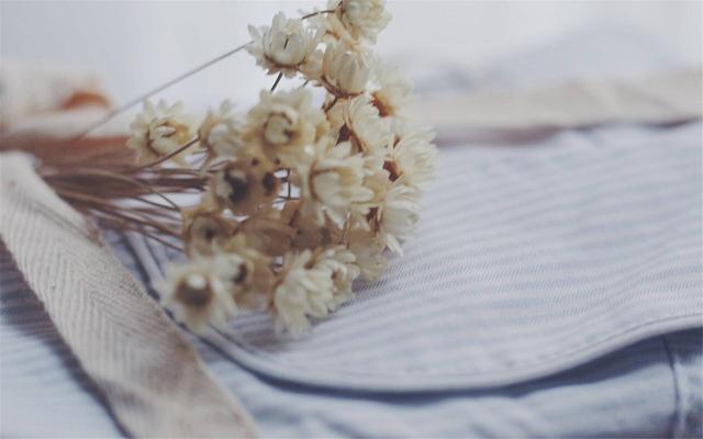 凤凰男以女友怀孕为借口压低彩礼，女方如此反击，结局让人舒服休闲区蓝鸢梦想 - Www.slyday.coM