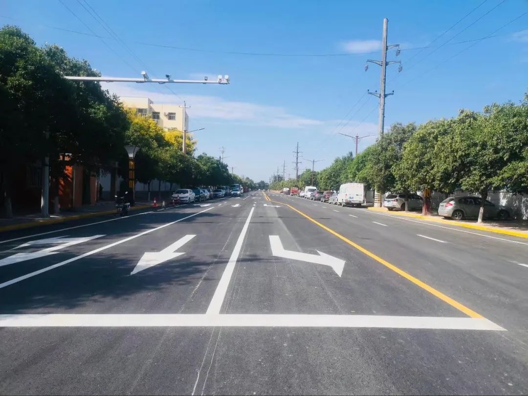 泾阳县城的这些变化,你看到了吗?|泾阳|县城|行道树_新浪新闻