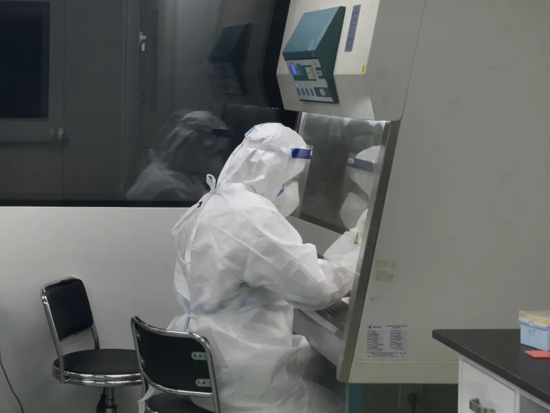 行走于「刀尖」，与病毒「共舞」！他们是抗疫战场上的“幕后英雄”休闲区蓝鸢梦想 - Www.slyday.coM