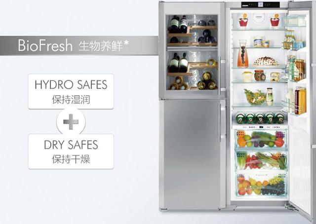 售价11万的世界顶级冰箱长啥样？贫穷果真限制了想象力...休闲区蓝鸢梦想 - Www.slyday.coM