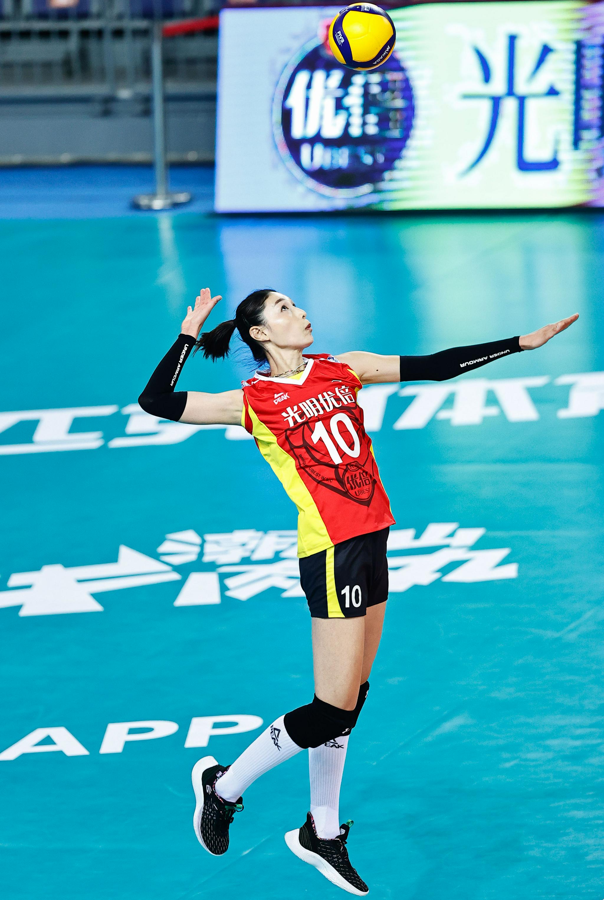 排球女排联赛上海胜浙江