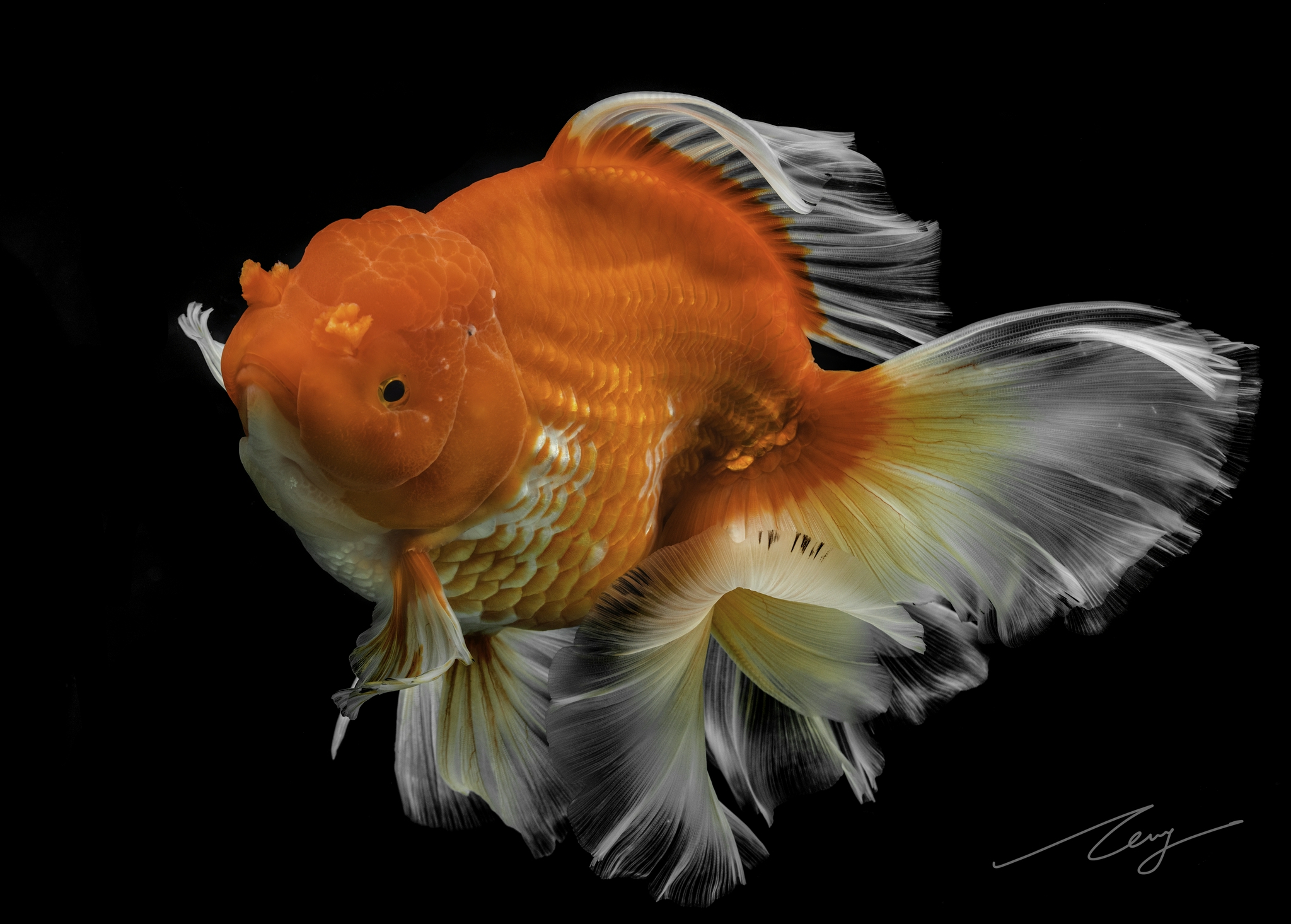 王智灏同学在课上完成的摄影作品