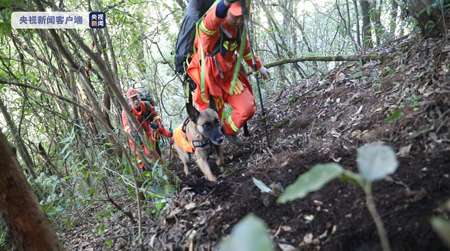 4名地质人员因公殉职，原因查明休闲区蓝鸢梦想 - Www.slyday.coM