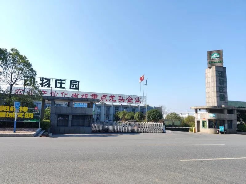 衡阳石峰涉黑系列大案调查