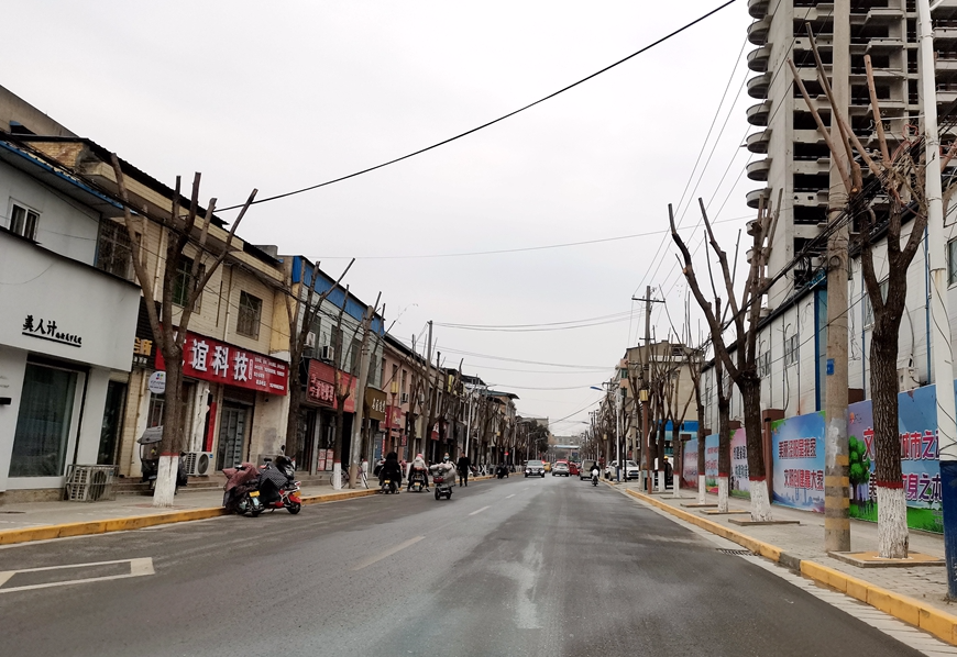 越来越靓!泾阳县城的这些变化,你看到了吗?