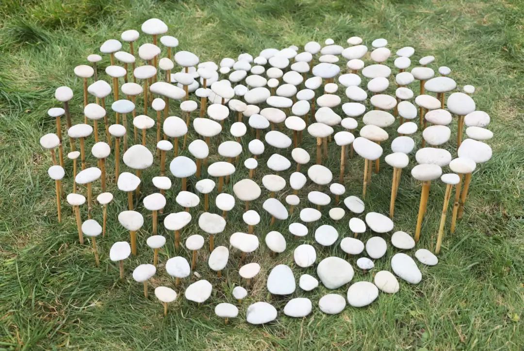 大地艺术家再出新作,普通石头拼出精美花纹,解压又治愈|福尔曼|大地