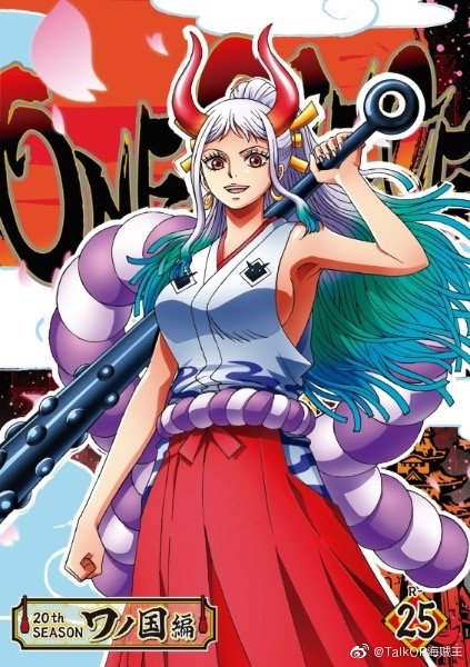 海贼王动画和之国篇20th season dvd封面第25弹.
