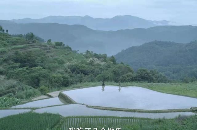 《雪中悍刀行》首播清一色好评,观众：小二,上酒,看江湖!休闲区蓝鸢梦想 - Www.slyday.coM