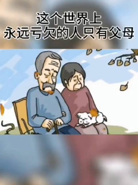 年少不知父母恩,半生糊涂半生人 感恩父母