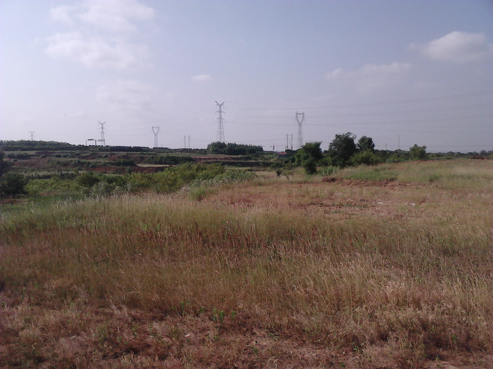 2类人土地将被收回|农村居民|农村土地|农村_新浪新闻