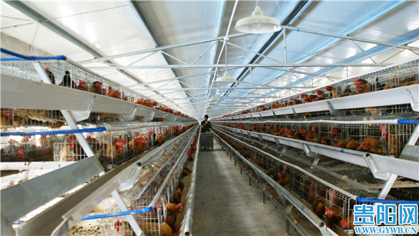 贵阳贵安：稳住农业基本盘 筑牢“三农”压舱石休闲区蓝鸢梦想 - Www.slyday.coM