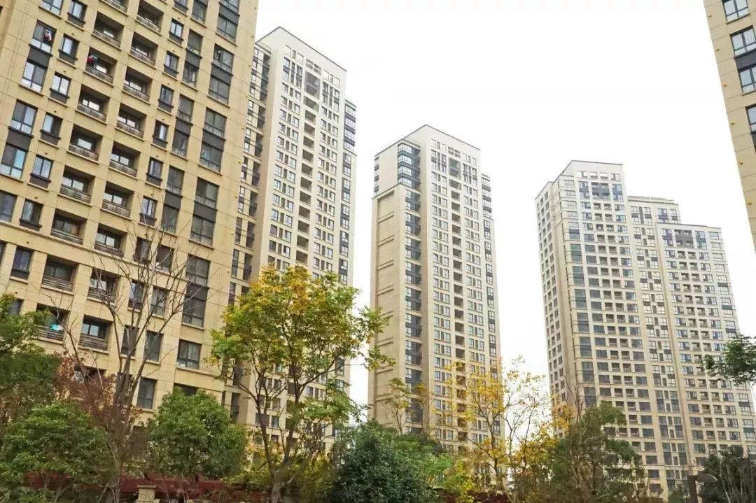 惠州公寓女孩怎么联系的实用攻略与热门推荐