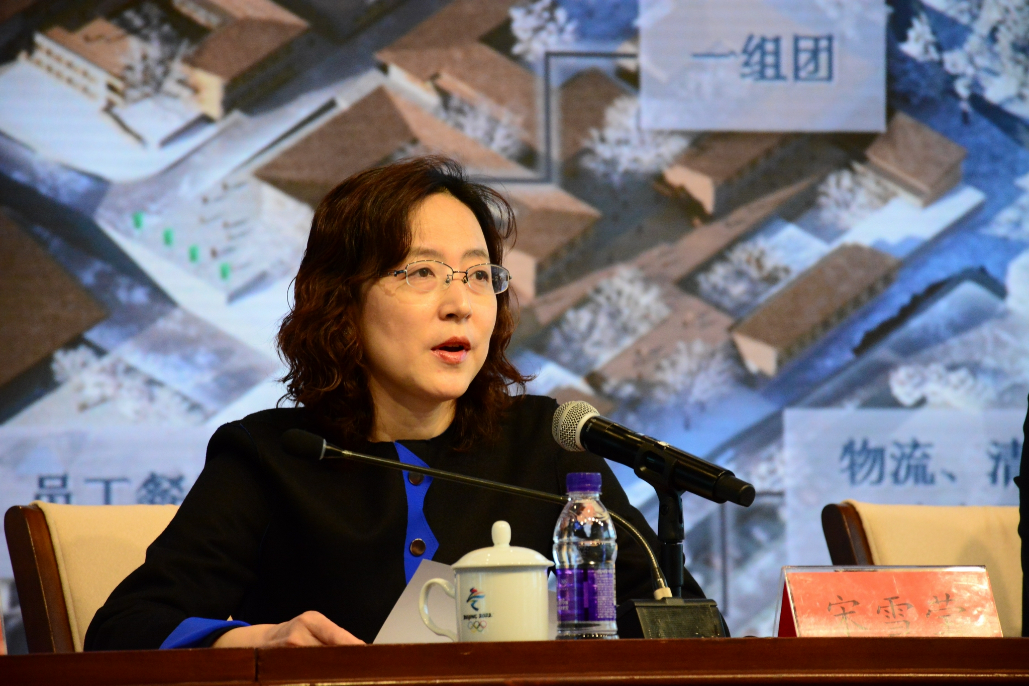 完成,物资移入全部完成,重点岗位人员全部到岗,全方位检验了延庆冬奥