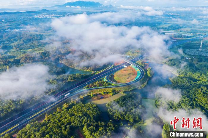 粤阳茂高速公路全线开放双向八车道 打通粤西融湾交通动脉