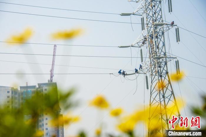 图为国网重庆电力员工在电力线路上进行检修工作。况敏 摄
