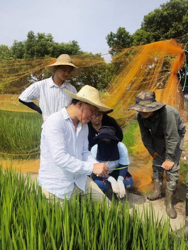 研究团队工作照