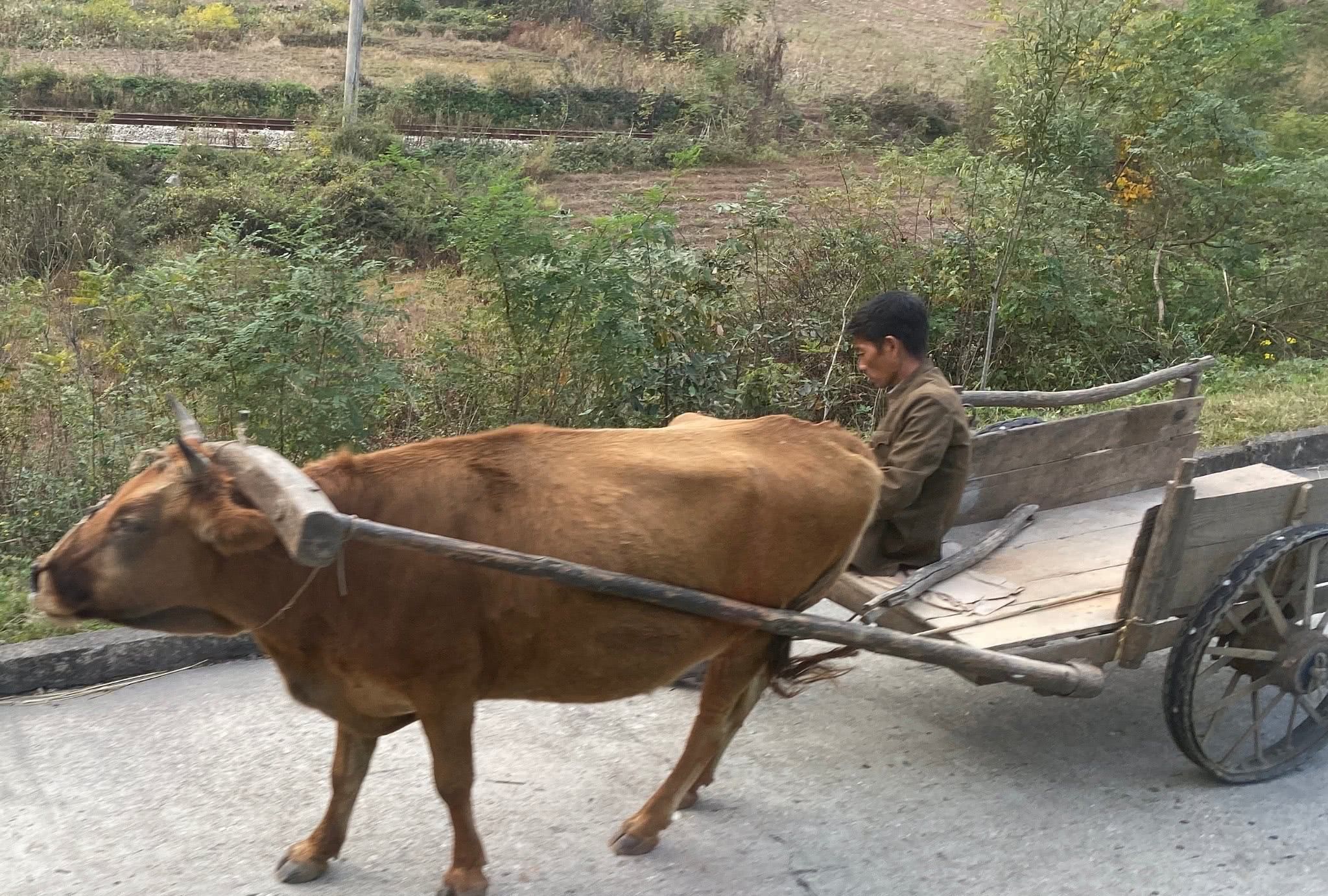 6种农村曾用过的农机具承载着70后的记忆第一个你们见过吗
