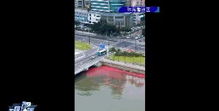 真神奇~广东一地惊现“荧光海”奇观,你见过吗?休闲区蓝鸢梦想 - Www.slyday.coM 真神奇~广东一地惊现“荧光海”奇观,你见过吗?休闲区蓝鸢梦想 - Www.slyday.coM