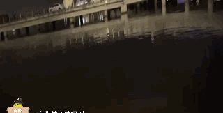 真神奇~广东一地惊现“荧光海”奇观,你见过吗?休闲区蓝鸢梦想 - Www.slyday.coM 真神奇~广东一地惊现“荧光海”奇观,你见过吗?休闲区蓝鸢梦想 - Www.slyday.coM