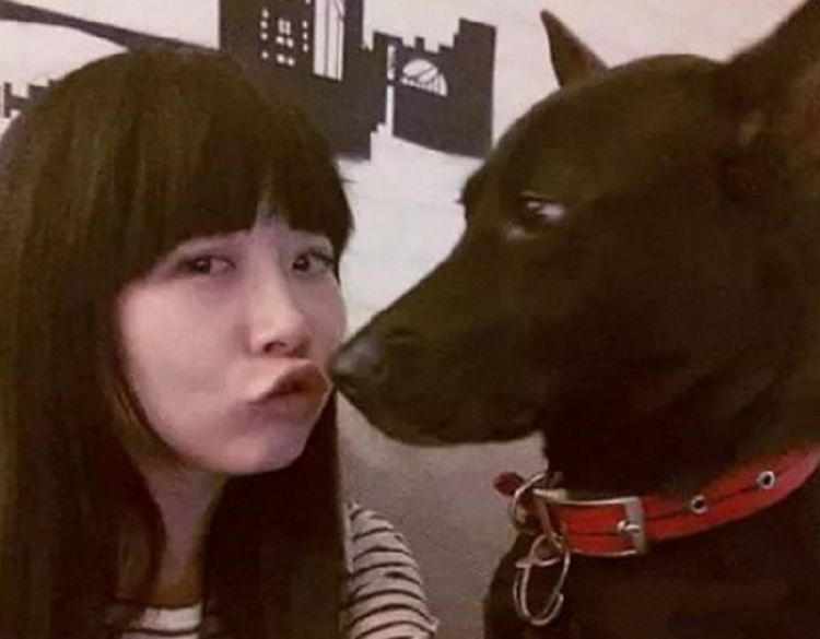 女子遛狗半路被人劫持，自家狗一溜烟跑了，流浪黑狗伸张正义休闲区蓝鸢梦想 - Www.slyday.coM