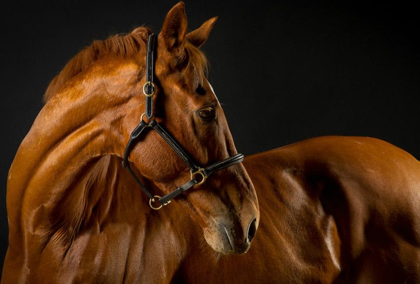 2022年1月开始,好运源源源不断,日子直奔小康的生肖休闲区蓝鸢梦想 - Www.slyday.coM 2022年1月开始,好运源源源不断,日子直奔小康的生肖休闲区蓝鸢梦想 - Www.slyday.coM