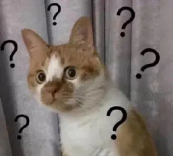 真神奇~广东一地惊现“荧光海”奇观,你见过吗?休闲区蓝鸢梦想 - Www.slyday.coM 真神奇~广东一地惊现“荧光海”奇观,你见过吗?休闲区蓝鸢梦想 - Www.slyday.coM