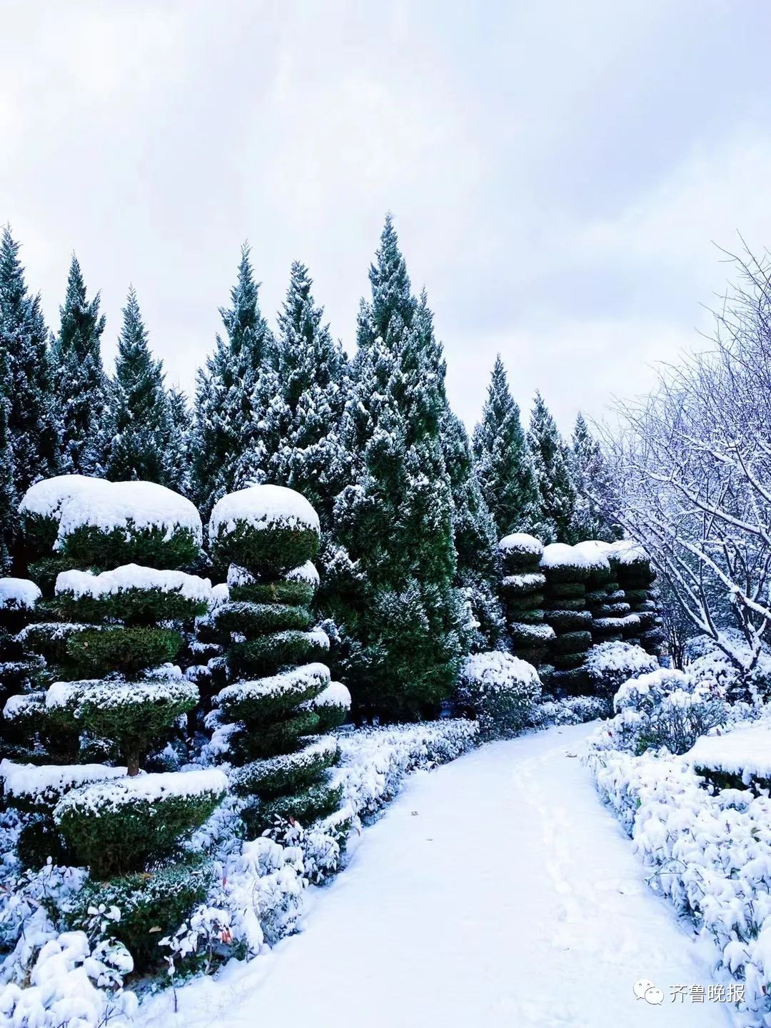 山东雪窝子发威威海发暴雪橙色预警雪大到模糊烟台劲头也很猛