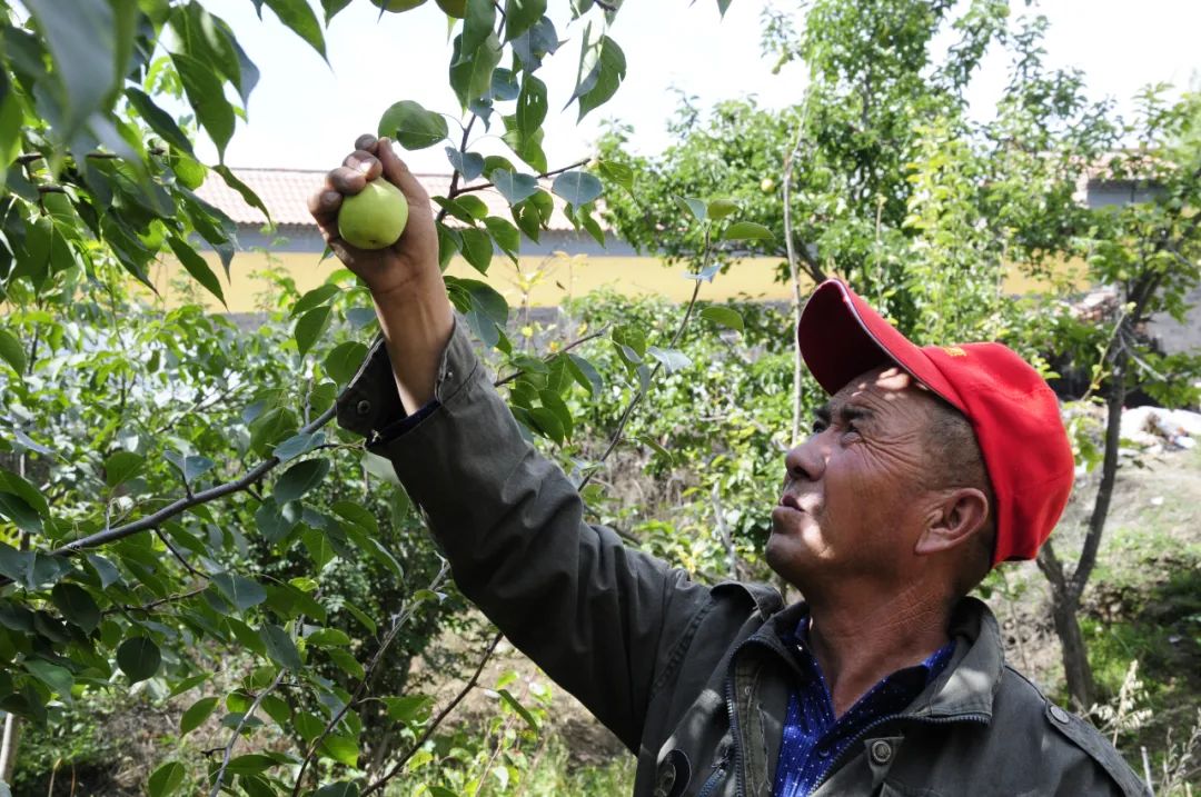 王玉虎：以乡村振兴战略为统揽 推进青海三农工作高质量发展休闲区蓝鸢梦想 - Www.slyday.coM