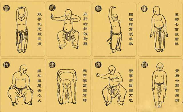 一套几分钟的中医运动养生操坚持下去可锻炼全身延年益寿