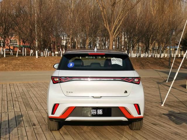 比亚迪e平台30冬季实测贼扛冻的小海豚