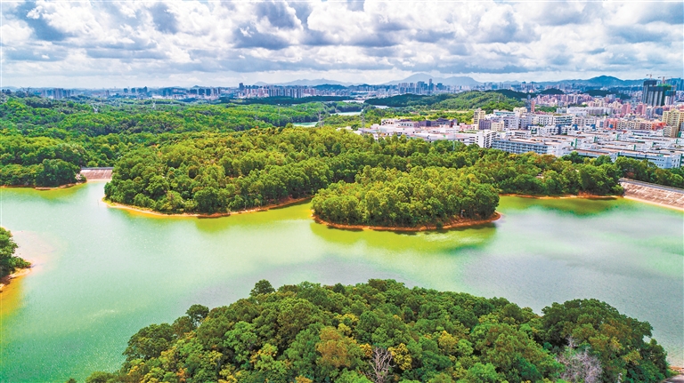 高峰水库.茜坑水库.