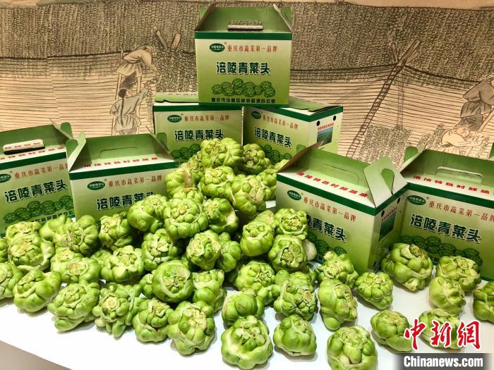 图为博览会上展示的榨菜原料青菜头. 钟旖 摄