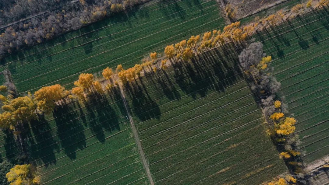 王玉虎：以乡村振兴战略为统揽 推进青海三农工作高质量发展休闲区蓝鸢梦想 - Www.slyday.coM