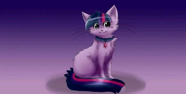 小马宝莉当马儿们变成小猫咪碧琪萌化了紫悦很有高级感
