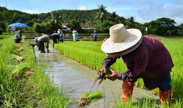 农民|农村土地|土地_新浪新闻