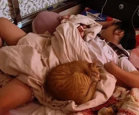 抬头惊见橘猫“肉肚垂挂”楼梯转角!脚交叉谜样视角:你在干嘛?休闲区蓝鸢梦想 - Www.slyday.coM 抬头惊见橘猫“肉肚垂挂”楼梯转角!脚交叉谜样视角:你在干嘛?休闲区蓝鸢梦想 - Www.slyday.coM