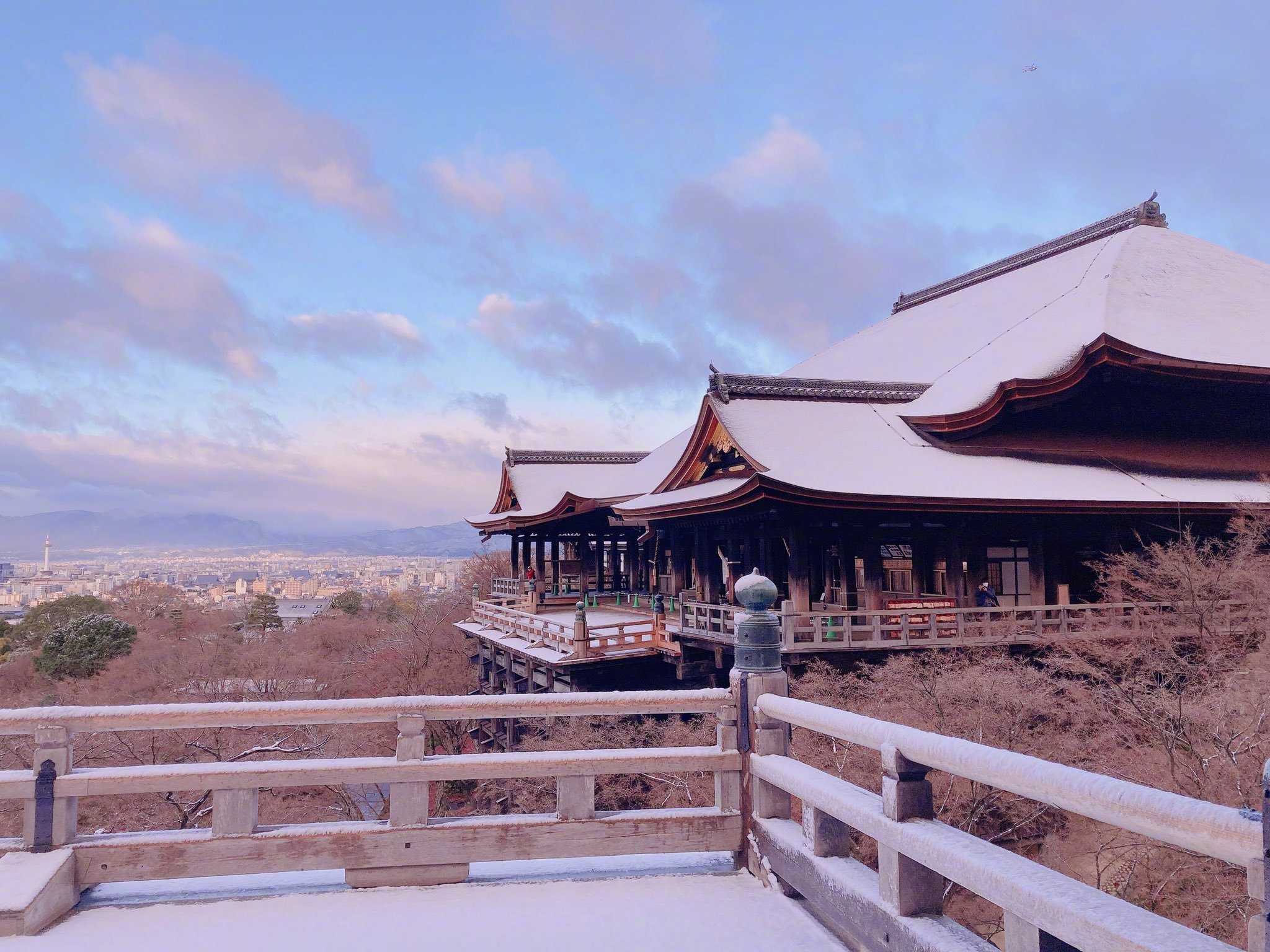 京都初雪各路网友和媒体跑去金阁寺和清水寺拍照