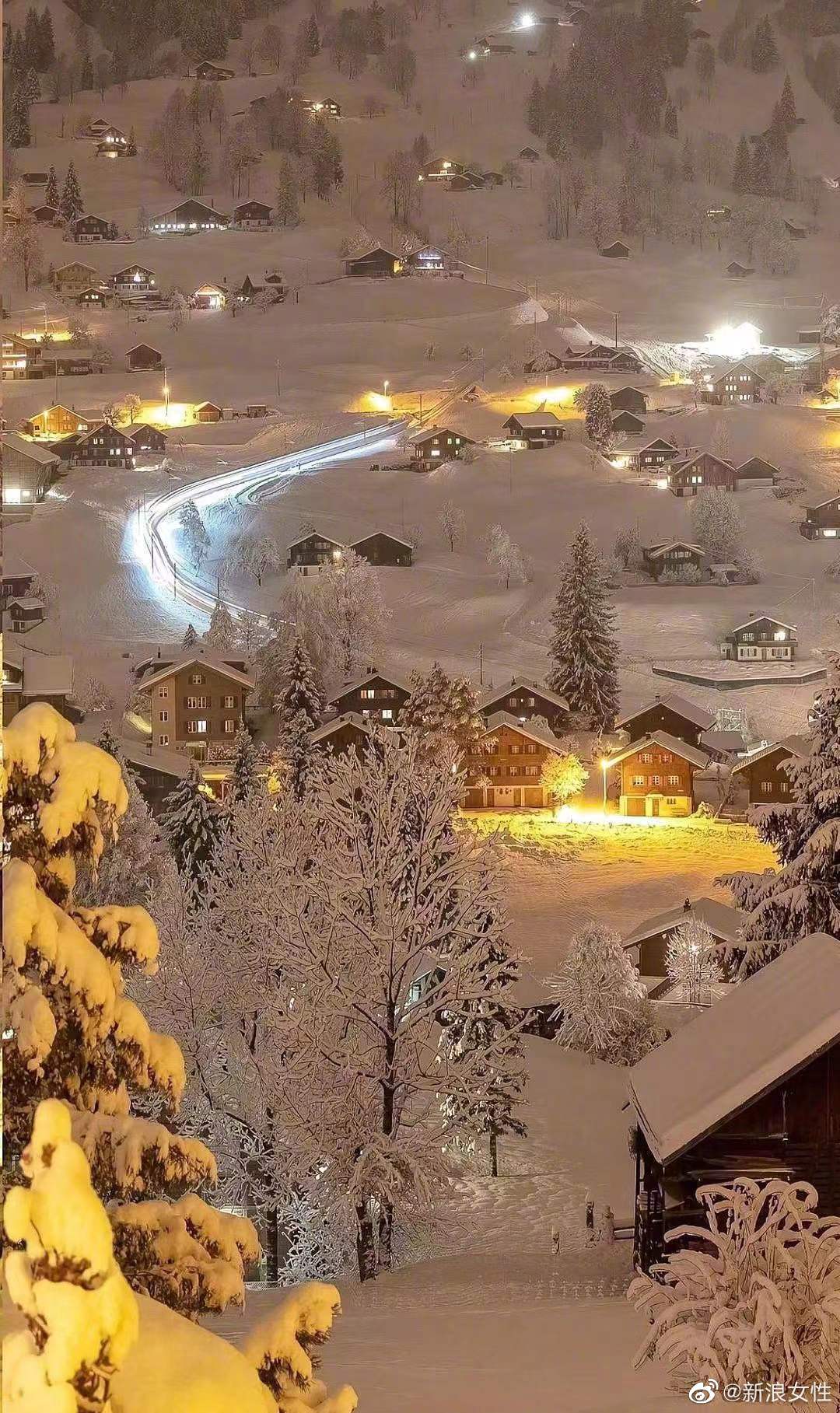 若逢新雪初霁, 满月当空, 下面平铺着皓影, 上面流转着亮银……|新雪|满月|月色_新浪新闻