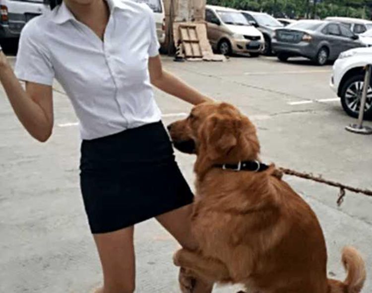 主人带狗子遛弯遇见美女狗子冲上去就抱大腿主人瞬间尴尬了