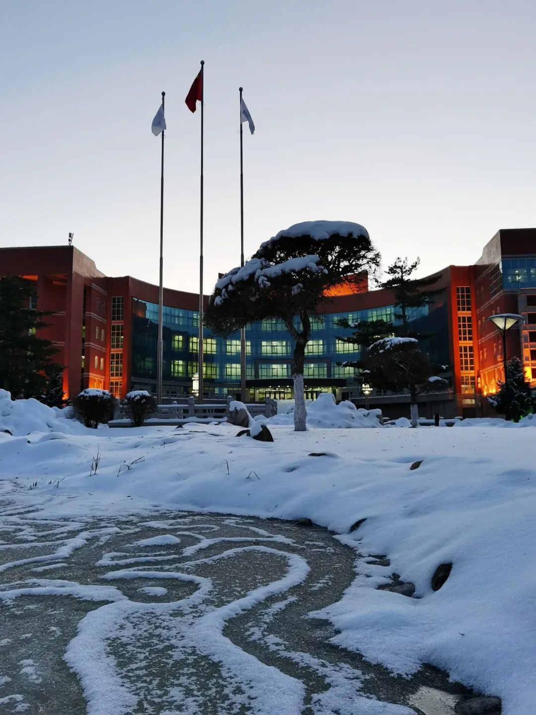 雪后初霁东师美景如画