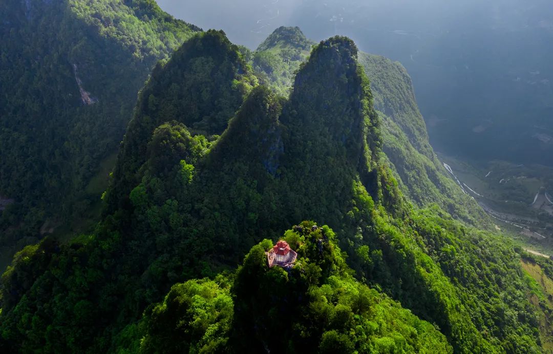 太美了吧重庆的森林大片