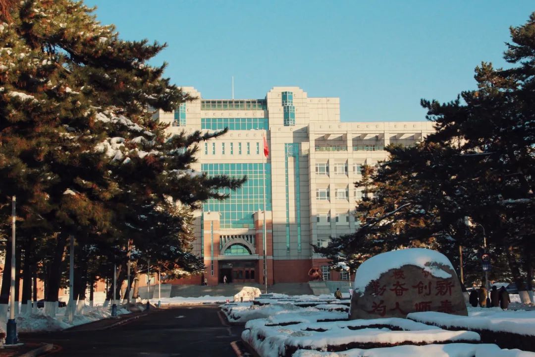 雪后初霁东师美景如画