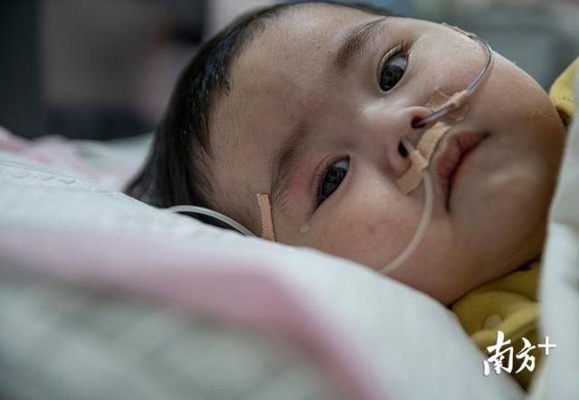 从70万砍到3.3万，国家医保怎么帮“米粒”谈下救命药？休闲区蓝鸢梦想 - Www.slyday.coM