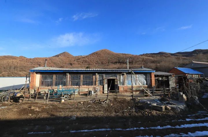 俩月吸粉1600多万！“张同学”到底是谁？休闲区蓝鸢梦想 - Www.slyday.coM