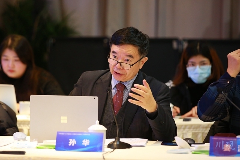 三星堆与金沙联合申遗怎么做孙华基础研究工作还需扎实推进