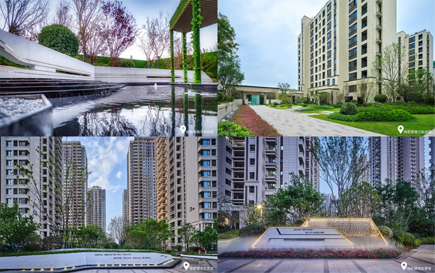 绿都地产集团不急而速做稳健的长期主义坚守者