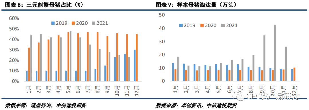 【2022生猪年报】告别非瘟时代，红海逐浪而行休闲区蓝鸢梦想 - Www.slyday.coM
