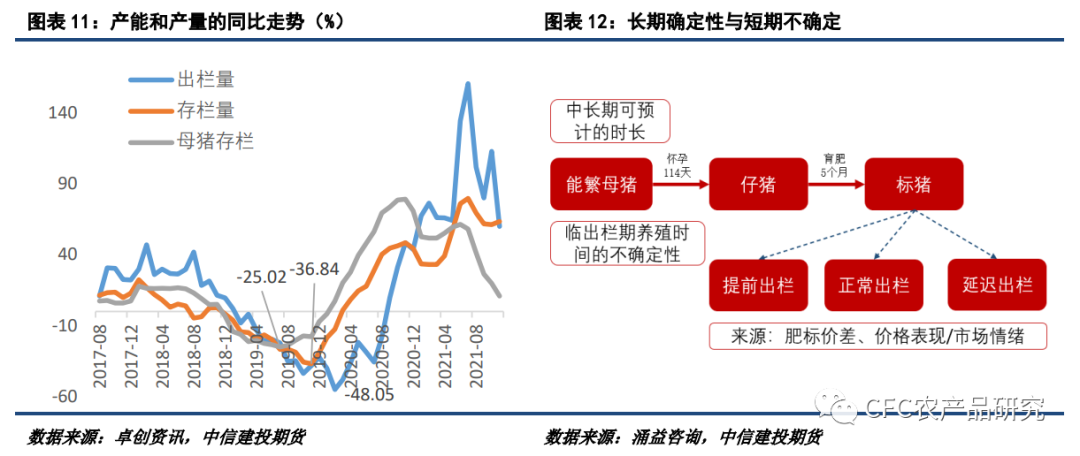 【2022生猪年报】告别非瘟时代，红海逐浪而行休闲区蓝鸢梦想 - Www.slyday.coM