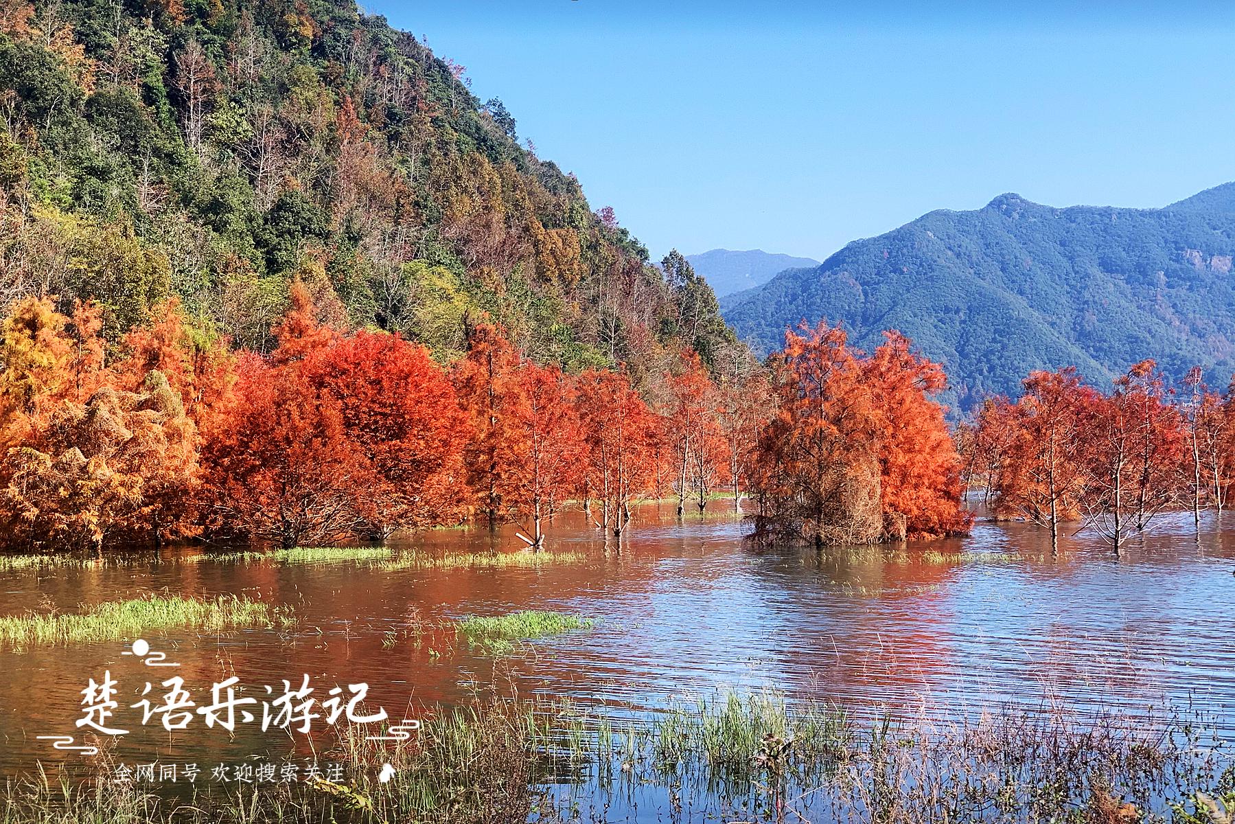浙江这里湖光山色，被称为台州的香格里拉，红树林美得令人心醉休闲区蓝鸢梦想 - Www.slyday.coM